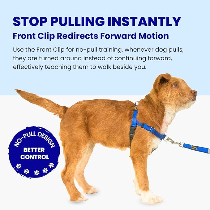 Easy Walk No Pull Dog Harness, Freedom Walk with Front and Back Clips Stainless D-Rings, Comfortable, Sewn-in Instructions Tags for Easy Use, for Medium Dogs Weight 30-39lbs (Blue, M)