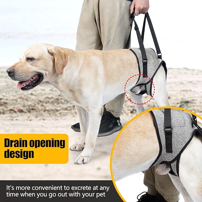 Dog Lift Harness for Dogs, Support Harness for Back Legs, Adjustable Rear Support Harness Grey Small