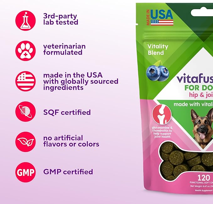 VitaFusion Dog Hip and Joint Supplement Glucosamine, Chondroitin, MSM, Omega-3 & Green-Lipped Mussel, Superfoods Blend. Flexibility and Cartilage Health. Wellness for Puppies to Senior Dogs,120 Chews.