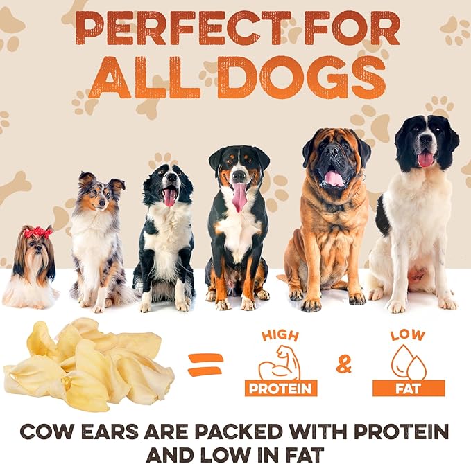 BRUTUS & BARNABY Cow Ears for Dogs – Whole Ears 30 ct, Thick Cut, Grass-Fed Angus Beef, All-Natural No-Rawhide Dog Treat Alternative