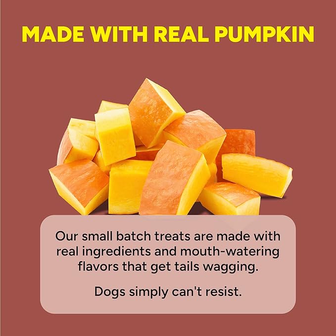 Cloud Star Dynamo Dog Tummy Soft Chews Grain Free Dog Treats, Pumpkin & Ginger, 14 oz. Pouch