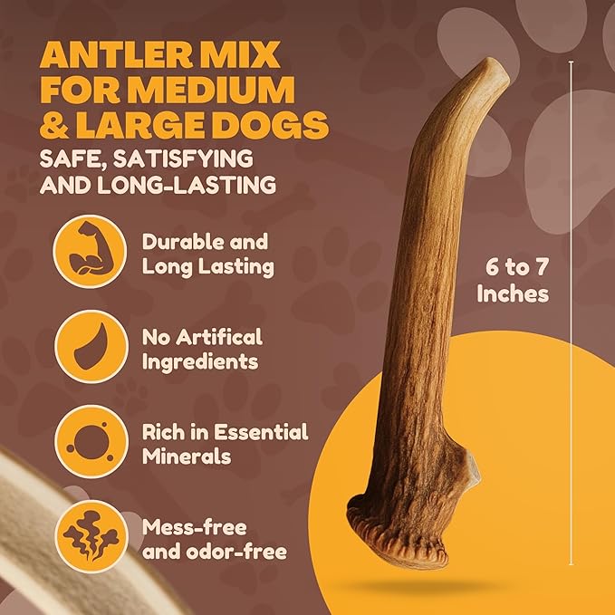 WhiteTail Naturals Deer Antlers for Dogs (1 lb Bulk Pack) Premium Antler Chews for Medium to Large Dogs – Grade A, Wild Sourced & Naturally Shed (Approx. 4-5 Count)