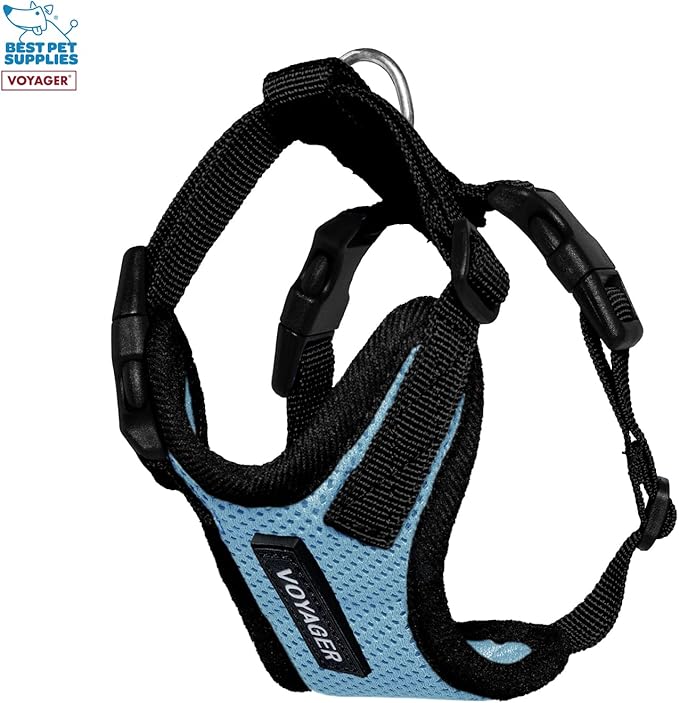 Best Pet Supplies Voyager Step-in Lock Pet Harness w Reflective Pet Leash Combo Set with Neoprene Handle 5ft - Supports Small, Medium and Large Breed Puppies/Cats - Baby Blue/Black Trim, XXXS