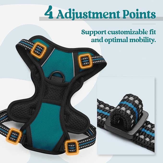 rabbitgoo Dog Harness No Pull with 2 Leash Clips, Adjustable Soft Padded, Reflective Oxford No Choke Pet Vest with Easy Control Handle for Puppy, Blue Coral, XS