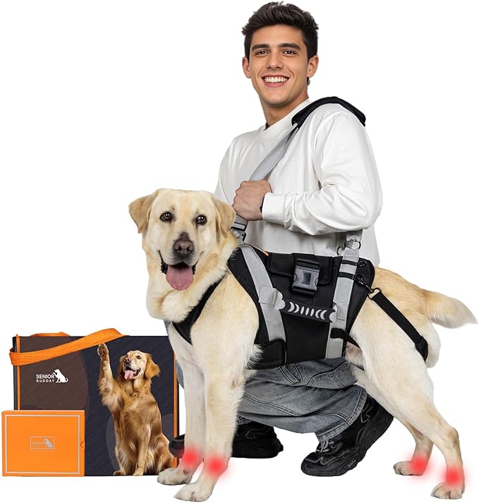 Dog Lift Harness for Large Dogs,Full Body Dog Sling Carrier with Handle,for Up Stair/Back Legs Support/Dogs Joint Injuries/Arthritis (Black, Large)
