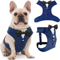 AVERYDAY Dog Tuxedo for Wedding Outfit, Dog Suit and Tie Costumes for Birthday, Halloween, Cosplay, Christmas Party, Pet Formal Wear with Bowtie, Tux for Medium Large Dogs, Bulldog, Labrador, Husky