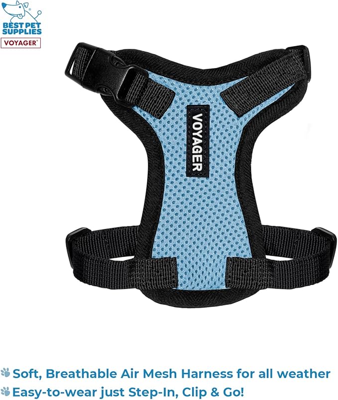 Best Pet Supplies Voyager Step-in Lock Pet Harness w Reflective Pet Leash Combo Set with Neoprene Handle 5ft - Supports Small, Medium and Large Breed Puppies/Cats - Baby Blue/Black Trim, XXXS