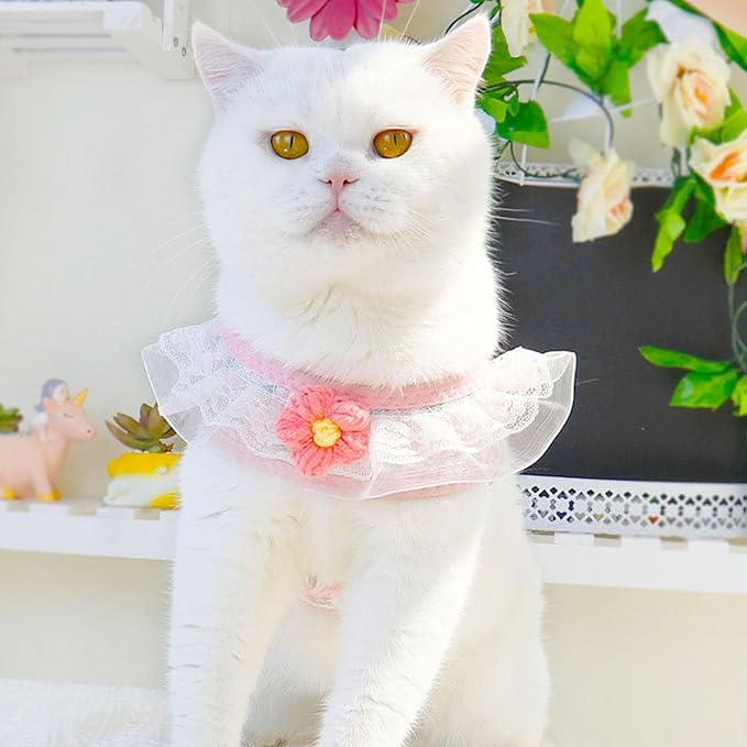 Cat Harness Collar and Leash Set, Sweet Lace Floral Kitten Collar, Escape Proof Puppy Chest Harness, Adjustable Cute Harness Leash Set for Cat Puppy Dog Outdoor Walking (Pink, M)