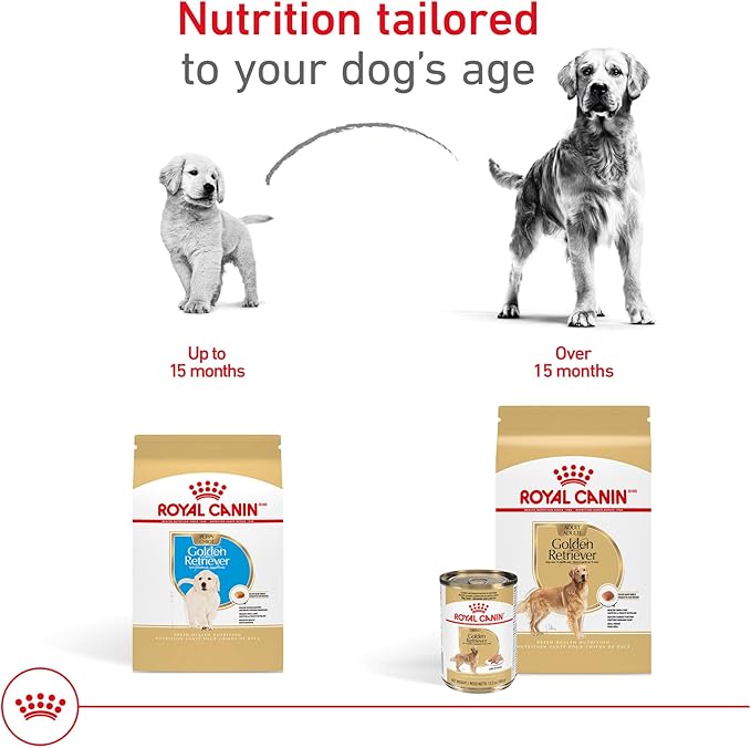 Royal Canin Breed Health Nutrition Golden Retriever Adult Loaf in Sauce Dog Food, 13.5 oz (Pack of 12)