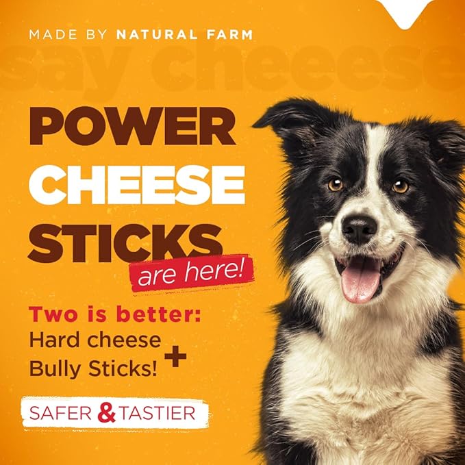 Natural Farm Power Cheese Dog Chews (6”, 10-Pack), 2-in-1 Power Chews: Cow’s Milk Cheese Wrapped in Delicious 100% Beef Pizzle, Double Chewing Time