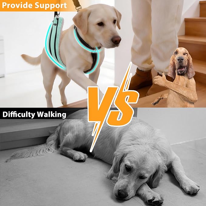 AIITLE Dog Slings for Small Dogs - Adjustable Reflective Dog Lift Harness with Anti-Slip Collar for Senior Dogs, Hind Leg Weakness, Hip Dysplasia, ACL Surgery (Turquoise, S)