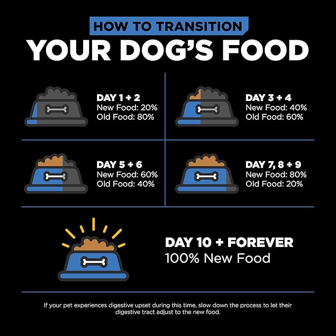 Go! Solutions Skin + Coat Care Chicken Dry Dog Food with Grains, Healthy Kibble with Omega-3s & 6s for Soft, Shiny Fur, for Puppies, Adults, & Seniors, 3.5 lb Bag