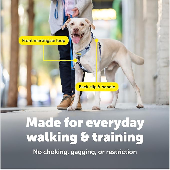 PetSafe Easy Walk Comfort No-Pull Dog Harness Full-Body Padding - Better Walks on the First Use - 5 Points of Adjustment Large, Black