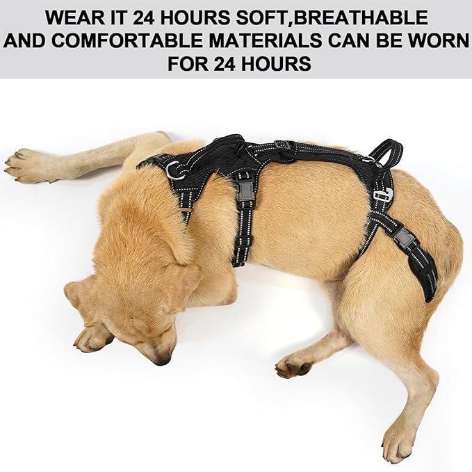 COODEO Mobility Dog Lift Harness, Support Sling & Walking Sling for Dogs, Pet Rear Leg Rehabilitation Support Vest, Dog Carrier for Senior Dogs with Joint Injuries, Arthritis, Up Stair (Black, XL)