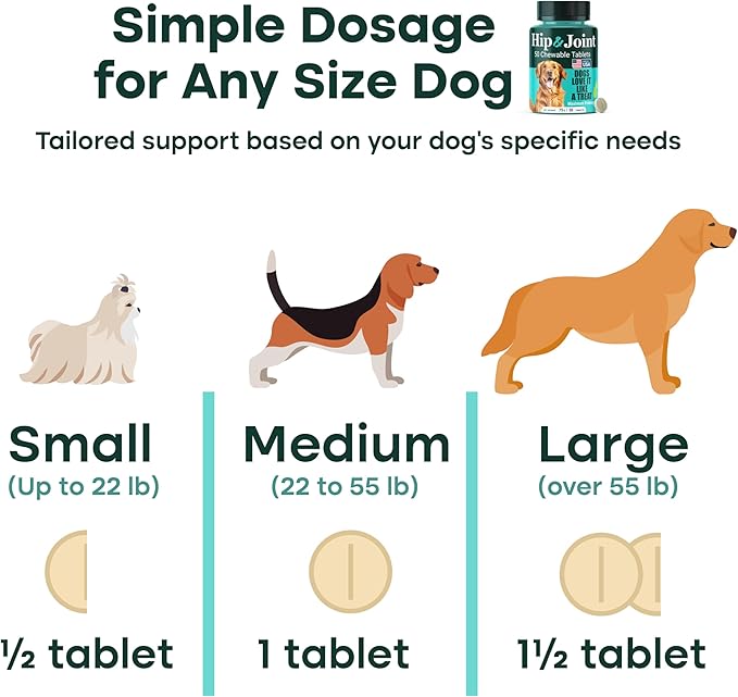 Hip & Joint Supplement for Dogs, 300mg Green-Lipped Mussel for Dog Arthritis Pain Relief, Glucosamine, MSM & Chondroitin, Zero Sugar, Large Medium Small Breeds, 100 Chewable Tablets