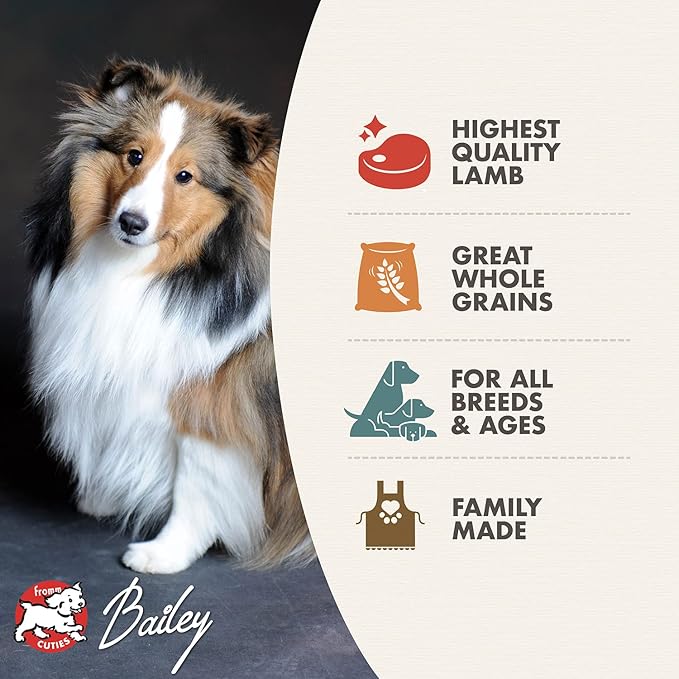 Fromm Four-Star Nutritionals Zealambder Dog Food - Premium Dry Dog Food - Lamb Recipe - 4 lb