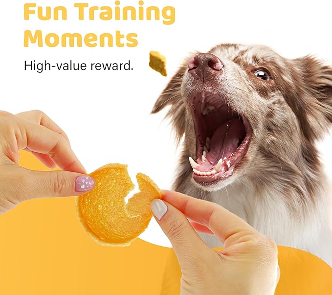 iPaw Turkey Chips Dog Treats for Puppy Training, All Natural Human Grade Dog Treat, Hypoallergenic, Easy to Digest (Turkey Chips)