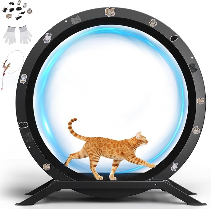 GTRACING Cat Wheels, 40" Diameter, Large Cat Exercise Wheel for Indoor Cats cat Treadmill Metal with Detachable Black Carpet & Teaser/Stickers, Ultra-Quiet Scroll Wheel with Latch, Safe and Stable