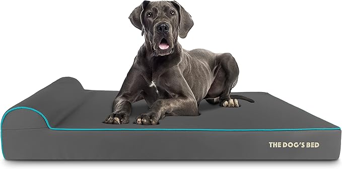 The Dog’s Bed Orthopedic Memory Foam Dog Bed with Headrest, Calming Surface – CertiPUR-Certified Foam, Oxford Fabric, Grey with Blue Trim, XXL, 6-Inch