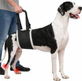 Adjustable Dog Lift Harness – Rear Leg Support Sling for Extra-Large Dogs | Mobility Aid for Senior, Injured & Post-Surgery Pets, ACL Surgery Dogs | Soft, Durable & Comfortable