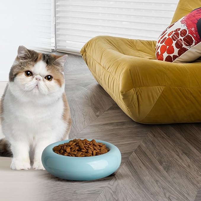 6.1 Inch Cat Bowls, 7 oz Ceramic Cat Food Bowl, Whisker Fatigue Relief Bowl, Anti-Vomiting, Protect Spine, Perfect for Indoor Cats(2pc Blue)