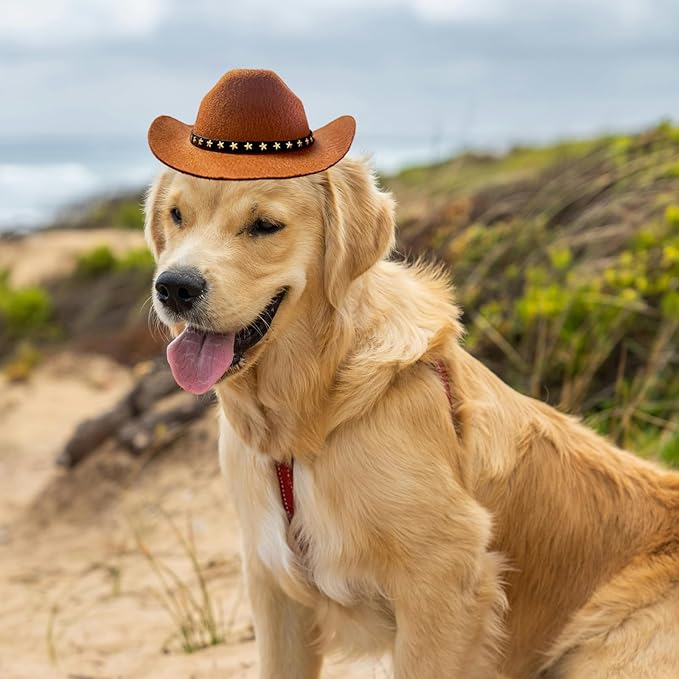 Dog Cowboy Hat Cat Cowboy Hat Pet Cowboy Costume Mini Cowboy Hat for Dogs Cat Holiday Halloween Pet Party Decoration (Brown, Large)
