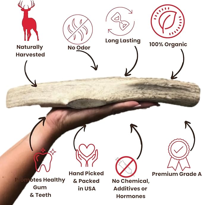 Elk Antlers for Dogs Large - Premium Natural Antler Dog Chew for Aggressive Chewers - Long-Lasting Deer Antler Chews - Ideal for Medium to Big Breed Dogs - Elk Bones and Antlers Durable