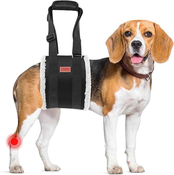 Adjustable Dog Lift Harness, Dog Sling for Large Dogs Lift Support and Rehab Harness for Weak Rear Legs, Soft Hind Leg Support Helps Senior, Injured, Disabled and After ACL Surgery Dogs(Black,Medium)