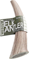 Elk Antlers for Dogs – Medium Whole (6-7.5 Inch), Durable Chew for Aggressive Chewers, USA Sourced, Naturally Shed & Ethically Harvested