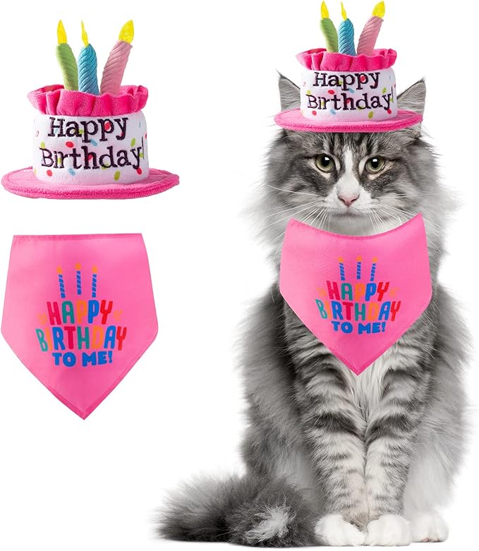 Puppy and Cat Happy Birthday Cake Hat & Bandana Scarfs Set with Colorful Candles Pink for Small Animas, Cat Birthday Party Supplies Decorations