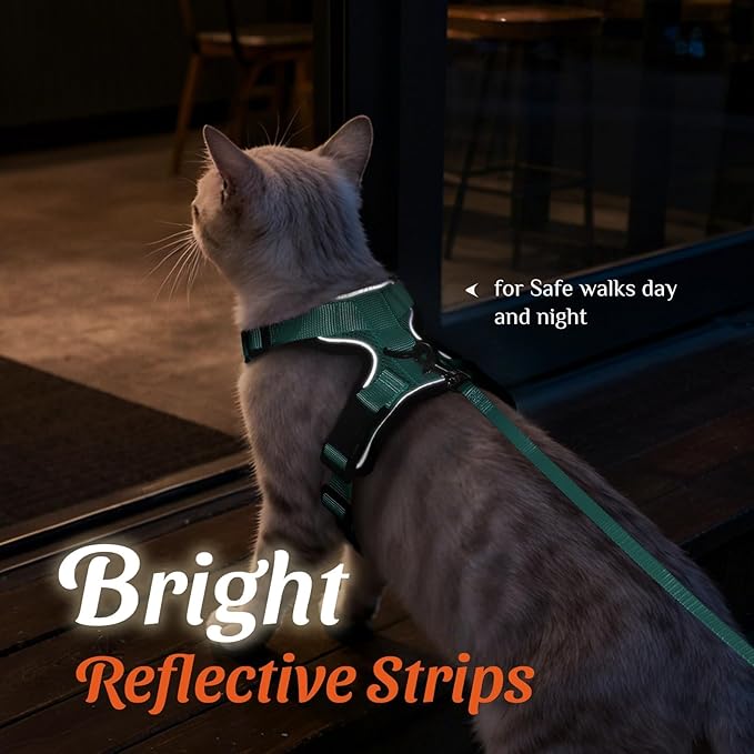Dooradar Cat Harness and Leash Set, Escape Proof Safe Adjustable Kitten Vest Harnesses for Walking, Easy Control Soft Breathable Mesh Jacket with Reflective Strips for Cats, Green, XS