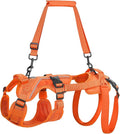 OneTigris Dog Lift Harness for Small Dogs XS, Dog Sling Carrier for Small Dogs, Full Body Lift Vest with Reflective Straps, Support Harness for Back Legs (Orange, XX-Small)
