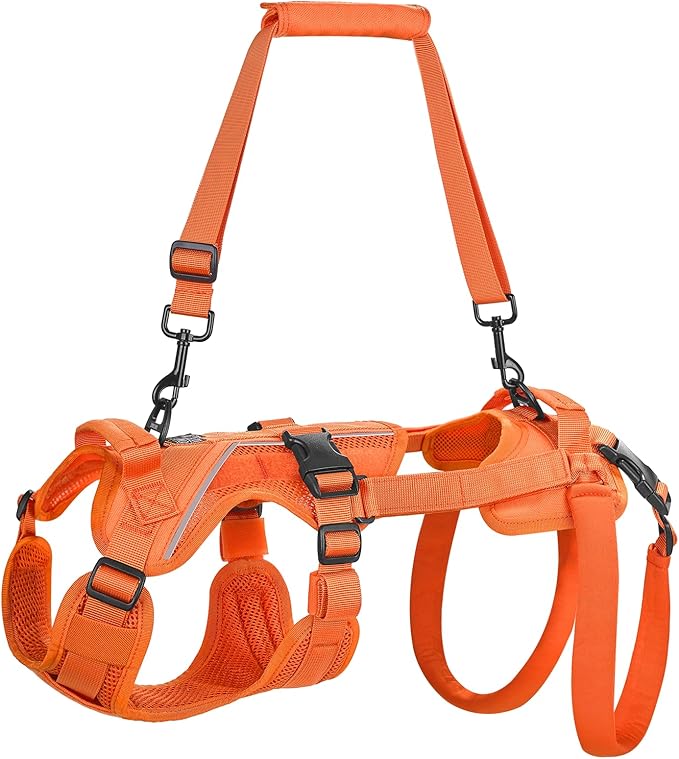 OneTigris Dog Lift Harness for Small Dogs XS, Dog Sling Carrier for Small Dogs, Full Body Lift Vest with Reflective Straps, Support Harness for Back Legs (Orange, XX-Small)