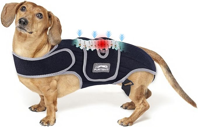 Dog Back Bracer for Large Dogs, IVDD Help Pain Relief Recovery Harness for Beagle & Dachshund, Reflective Adjustable Support for Back and Hip Stability (Large)
