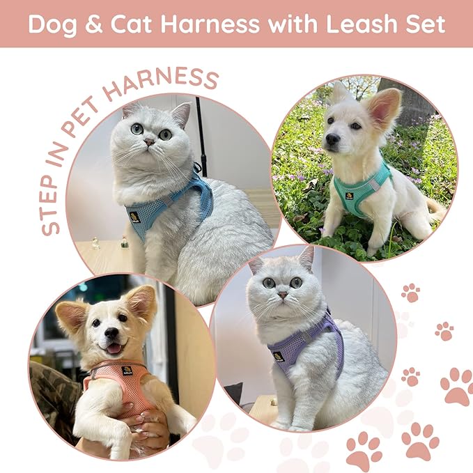 BELLA & PAL Step in Vest Harness for Small and Medium Dogs, No Pull Small Dog Harness with Leash Set, Comfortable Air Mesh Dog Vest Harness with Reflective Strip (Coral Pink, S)