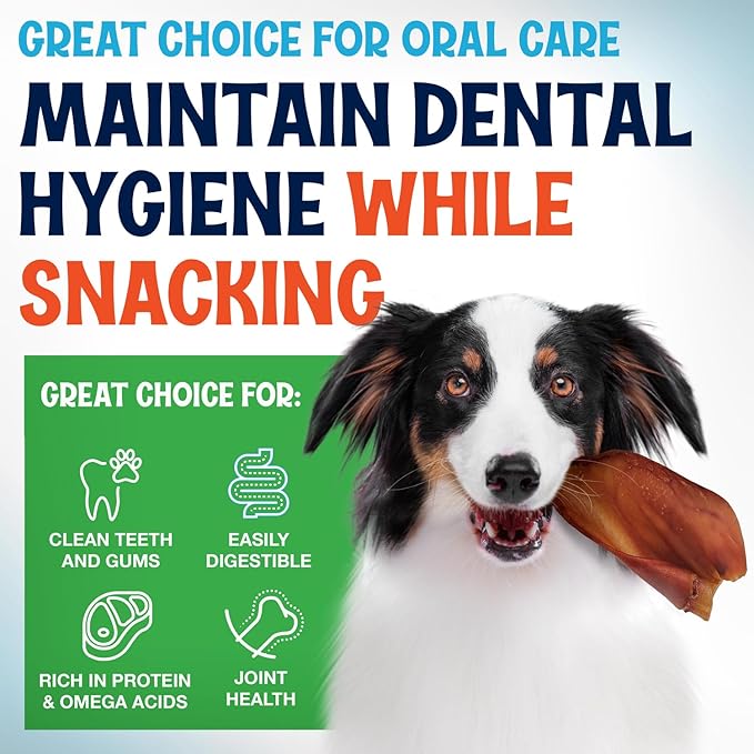 Whole Pig Ears for Dogs - 15 Pack Long Lasting Dental Chews – One Ingredient Delicious All Natural Flavor Treats – Easy to Digest for Large Pets - Great for Teeth and Gums