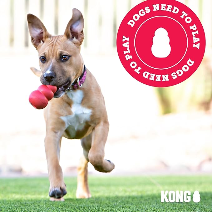 KONG Stuff'N - Paste for Stuffing Dog Treats - Healthy with Natural Ingredients - Creamy Dog Treat in Tube - Peanut Butter (5 oz) & Sweet Potato (5 oz)