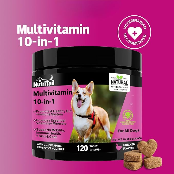 NutriTrail Multivitamin for Dogs – 10-in-1 Soft Chews with Glucosamine, Probiotics, Omega-3, Vitamins & Minerals – Supports Hip & Joint, Digestion, Skin & Coat, and Immune Health – Chicken, 120 Ct