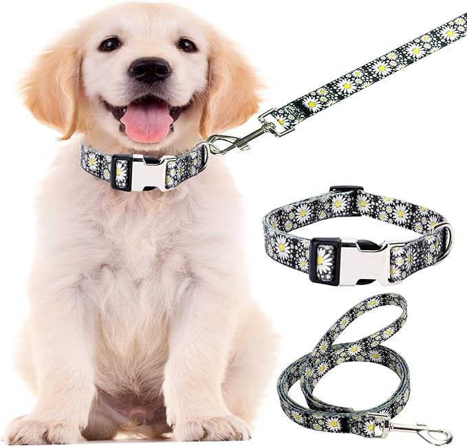 Small Dog Collar and Leash Set, Pretty Design Print White Daisy Pattern Pet Collars for Small Medium Large Breed Female Dogs Girls Cats, S