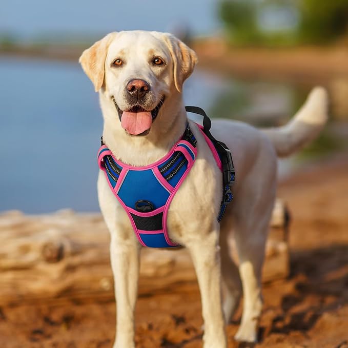 rabbitgoo Dog Harness No Pull with 2 Leash Clips, Adjustable Soft Padded, Reflective Oxford No Choke Pet Vest with Easy Control Handle for Large Dogs, Blue & Hot Pink, L