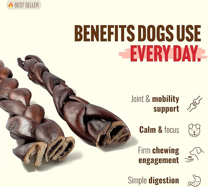 Natural Farm Odor-Free Super Braided Collagen Dog Chews (12-Inch, 10-Pack) First Ever Real Bull Sticks Alternative: 100% Natural Angus Hide Collagen Treats - More Protein More Chew Time for All Dogs