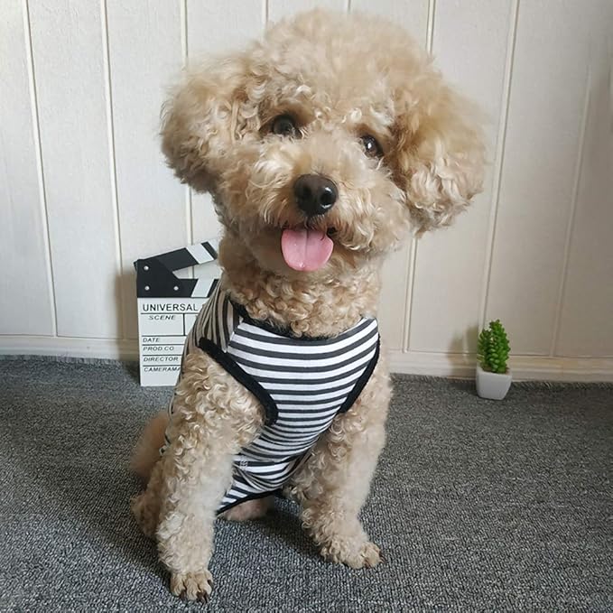 Dog’s Recovery Suit Post Surgery Shirt for Puppy, Wound Protective Clothes for Little Animals(Black White Stripe-m)
