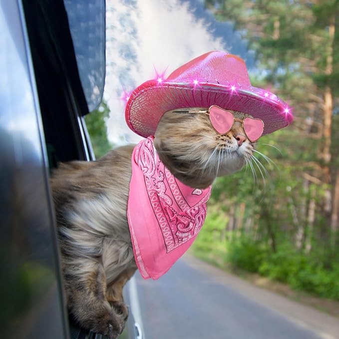Aliceset 3 Pcs Pet Cowboy Costume Cat Cowboy Accessories Set Neon Sparkly Dog Cowboy Hat Paisley Bandanna Collar and Sunglasses LED Light up Western Small Cat Dog Cowgirl Costume(Pink, Shiny, Shiny)