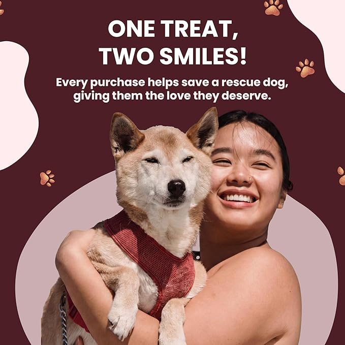 Beef Chips | 100% Single-Ingredient Beef Jerky Dog Treats | Healthy, Natural Treats for Dogs | High-Protein, Grain-Free, Ideal for Training & Sensitive Stomachs | Made in Texas, 4oz