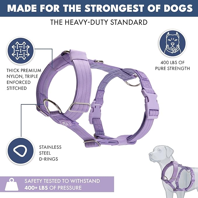 Spark Paws No Pull Dog Harness for Large Dogs, Heavy Duty Dog Harness for Big Strong Breeds, Adjustable, Y Shaped Padded Halter Design with Front Clip - Purple - Large