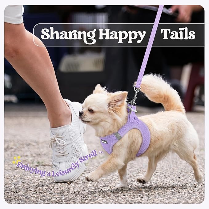 rabbitgoo Dog Harness Small Medium Sized and Leash Set, Step in Soft Light Puppy Vest, Breathable Mesh Pet Harness, Reflective for Safe Easy Walking, Light Purple L