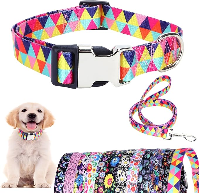 Puppy Collar and Leash Set, Pretty Design Print Colorful Geometric Triangle Pet Collars for Small Medium Large Breed Female Dogs Girls Cats, XS