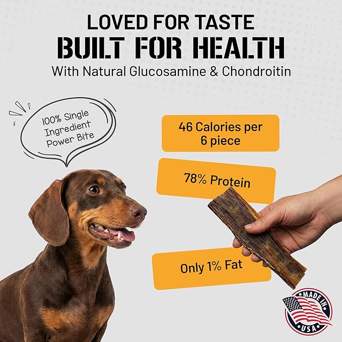 Dog Chits Beef Esophagus Chews for Dogs & Puppies - All Natural Single Ingredient - High Protein, Low Fat Beef Jerky Chew - Safe for All Breeds - Great for Joint - Dental Clean Crunch - 6 inch, 10 oz