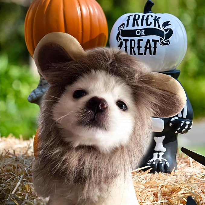NAMSAN Lion Mane for Cat Small Dog, Halloween Cat Costume Lion Mane, Wig Lion King Hat Cosplay, Kitten Outfit for Halloween Holiday Party Activity