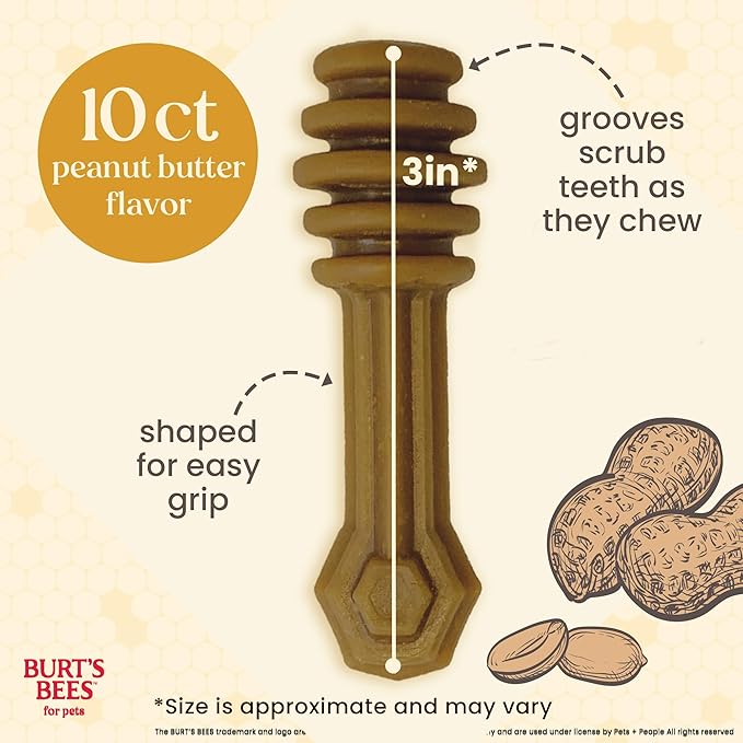 BURT'S BEES FOR PETS Dental Treats for Dogs with Manuka Honey & Ginger, Holistic, Plant-Based Oral Care, 98% Natural Origin Formulas, Peanut Butter Flavor, Dog Treats Small Dogs, Sz Small 10ct, 7 oz
